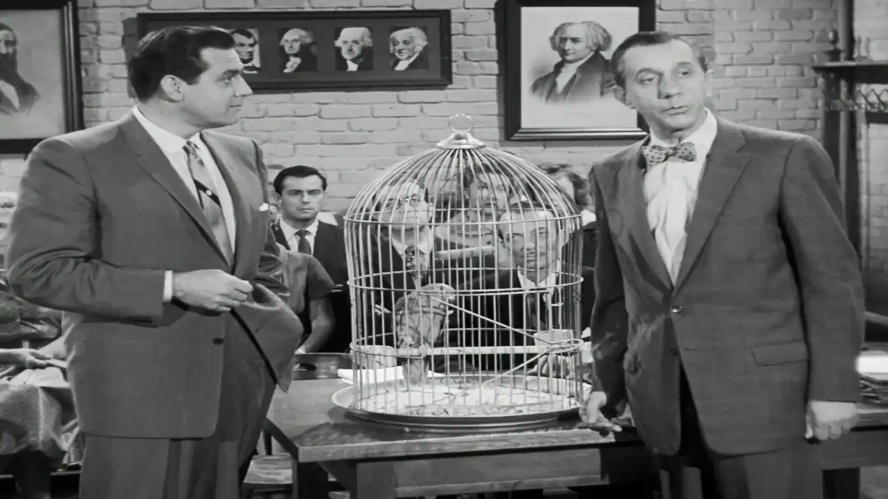 The Case of the Perjured Parrot