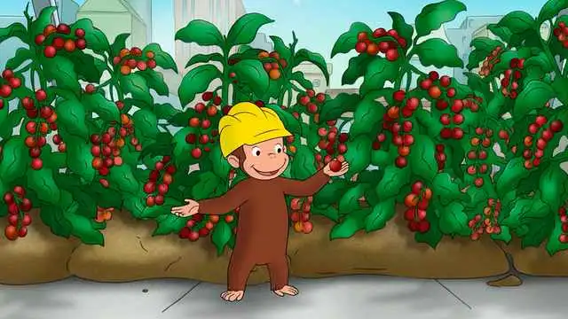 The Greenhouse Effect