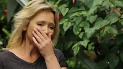 Episode 7537