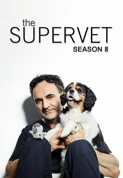 Season 8