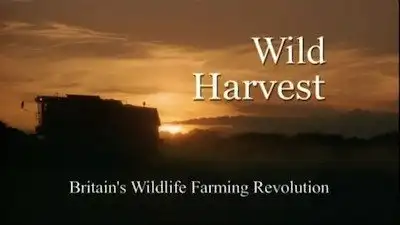 Wild Harvest