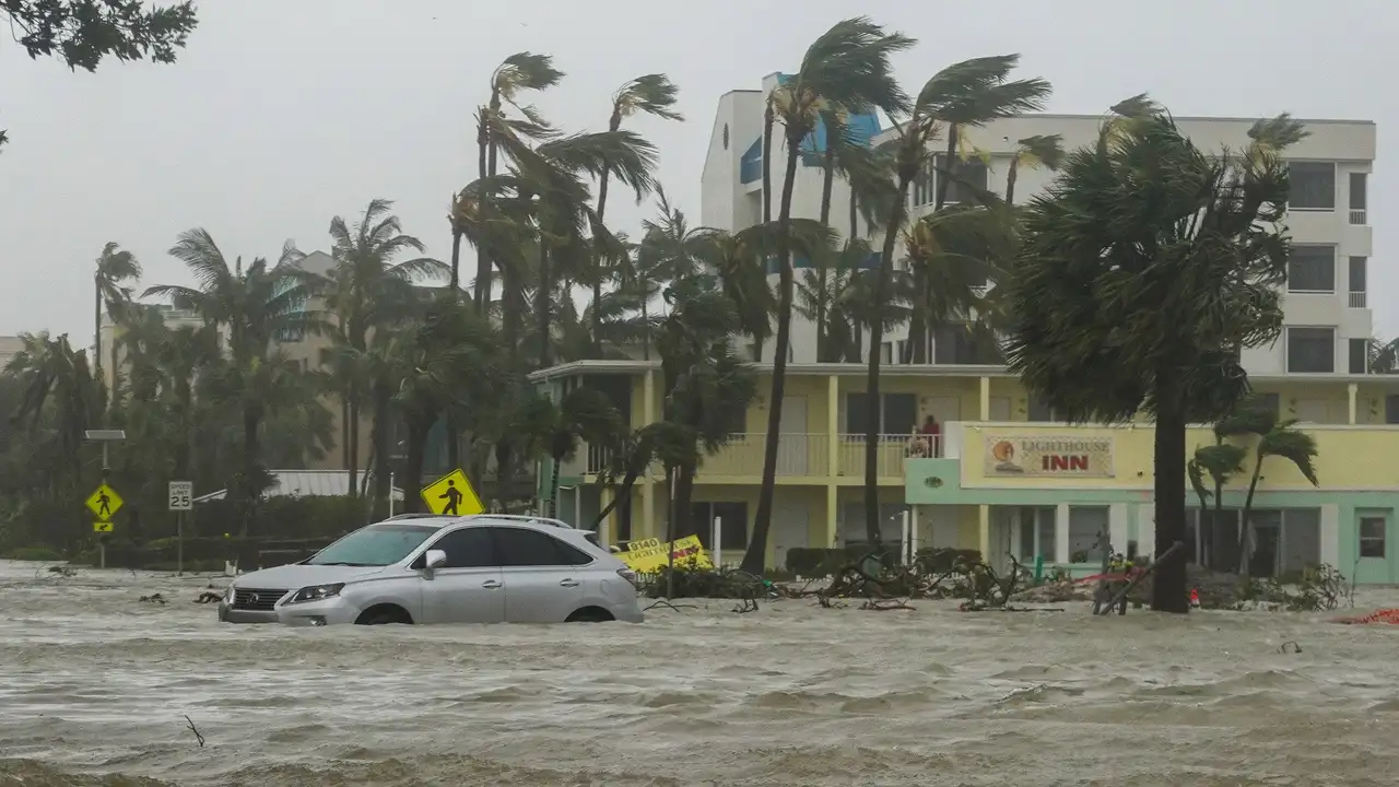 Category 5: Fight to Survive