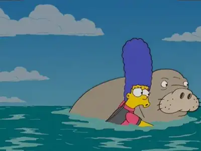 The Bonfire of the Manatees