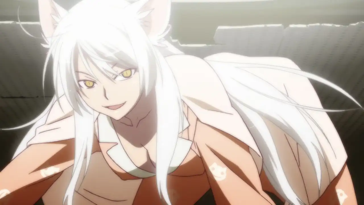 Tsubasa Cat (3)