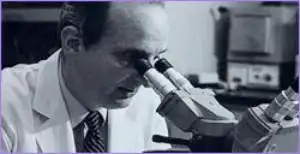 The Cancer Warrior