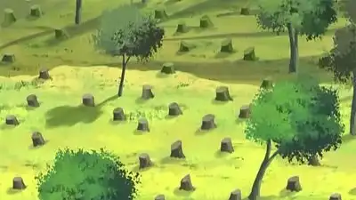 Ecosystems
