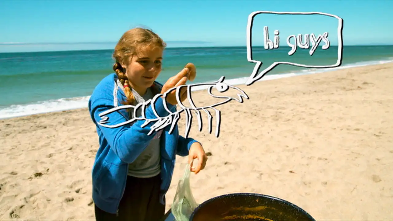 The Beach BBQ