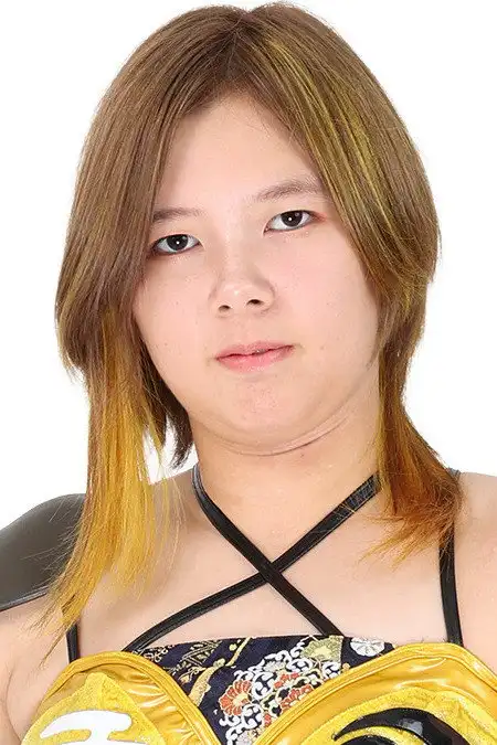 Ai Houzan